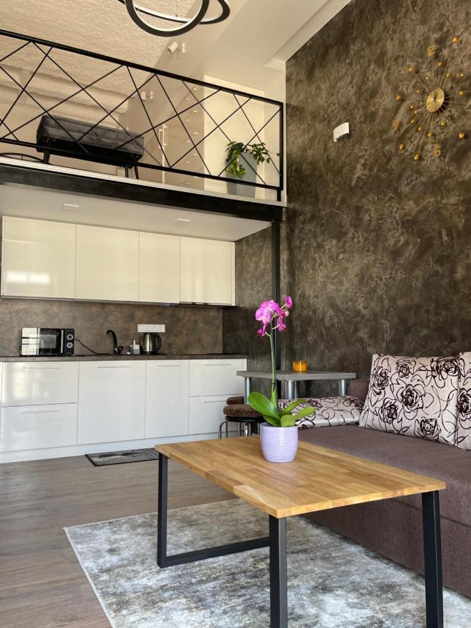 Radio City Loft 카우나스 외부 사진